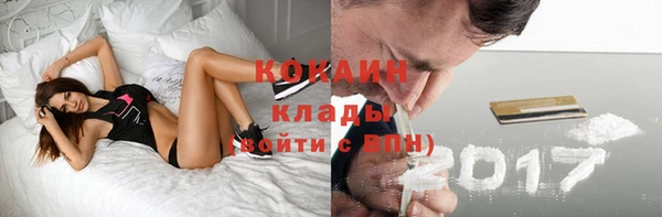 прущие грибы Абдулино
