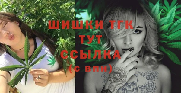стаф Абинск