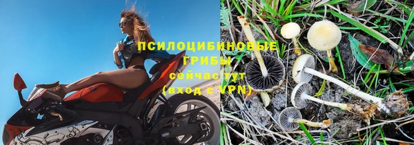стаф Абинск