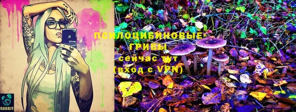 скорость Алексин