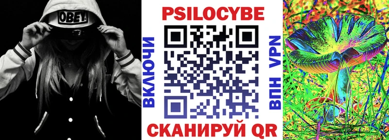 Галлюциногенные грибы MAGIC MUSHROOMS  дарнет шоп  мориарти клад  Алатырь 