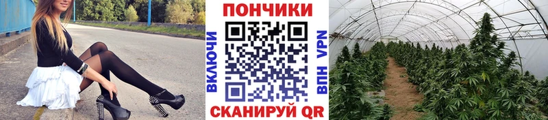 Бошки Шишки OG Kush  сколько стоит  Алатырь 